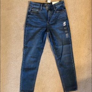 American Eagle Mom Jeans